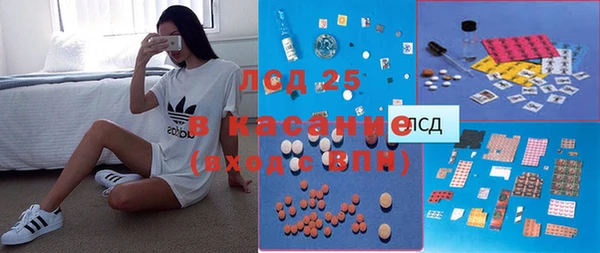 эйфоретик Белокуриха